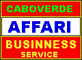 businnes service