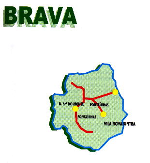 Brava